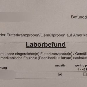 Laborbefund