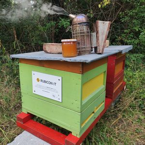 Bienenbeuten mit Smoker und Honigglas am Dach