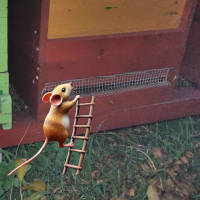 Bienenbeute mit Mäusegitter vor Flugloch und Clip-Art-Maus auf Leiter